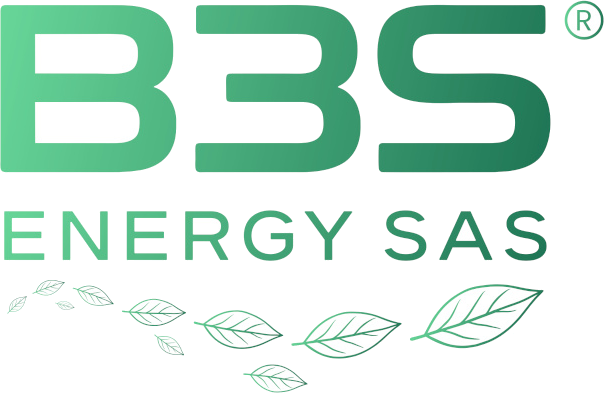 B3S